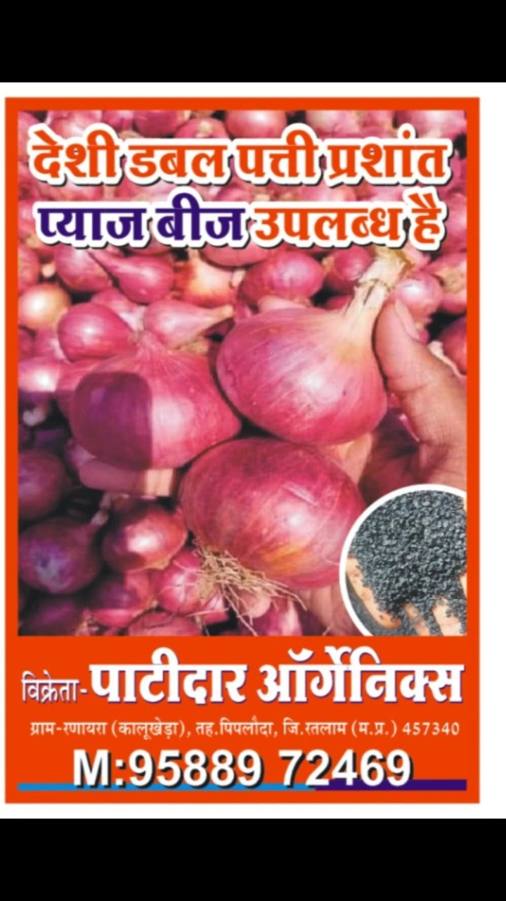देशी प्रशांत प्याज बीज 1 KG
