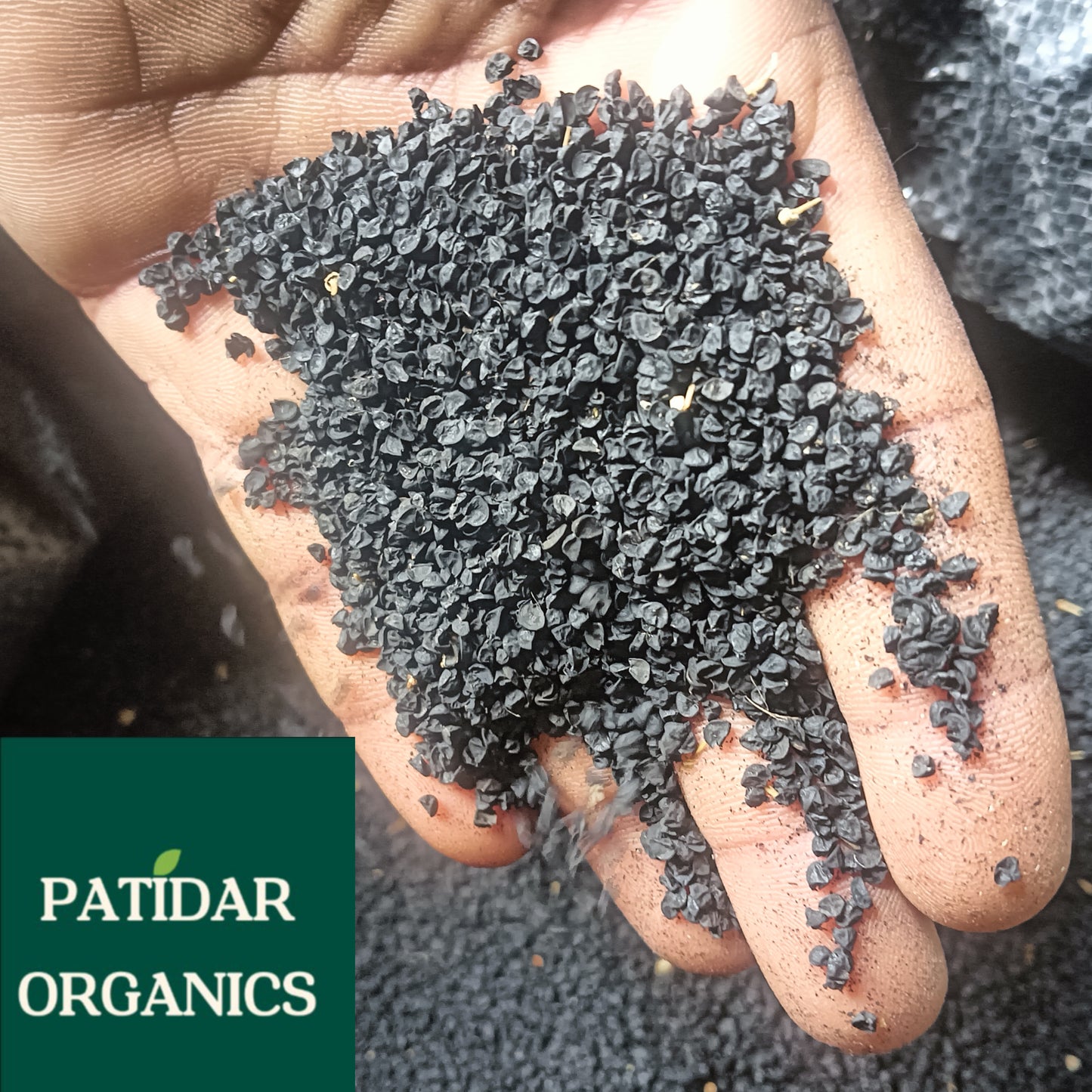 नासिक लाल प्रशांत प्याज बीज 1 kg